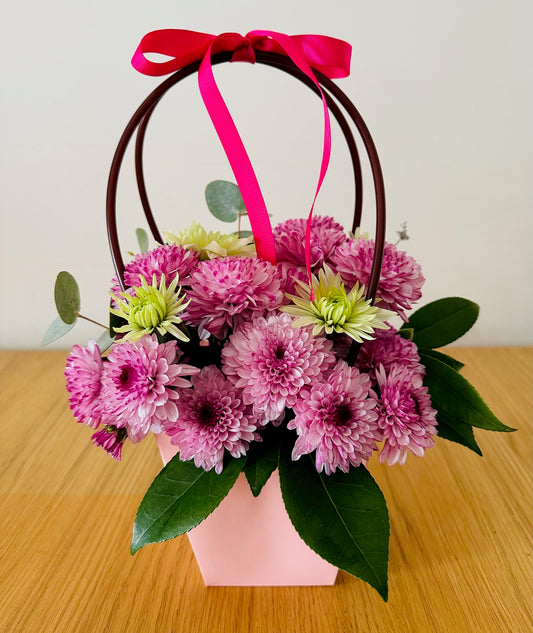 Chrysanthemum in the basket